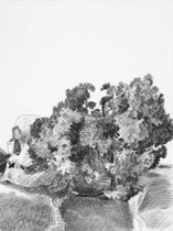 „Petersilie und Schädel“,1984, Bleistift und Grafit, 46x43cm