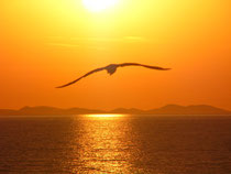 Sonnenuntergang in Kroatien