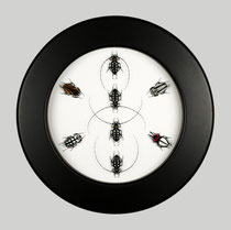 Beetles Circle