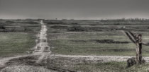 Artilary Range - Senne