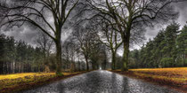 Old Road to the bombed out Village - Senne