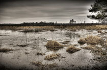 Frozen Fields  - Senne