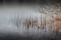 Relections - Senne