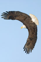 Homer, Alaska (USA)