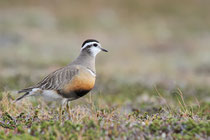 Varanger (Norwegen)