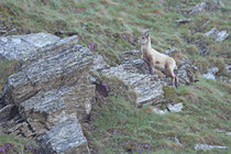 Val Piora (Schweiz)