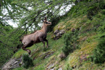 Piora (Schweiz)