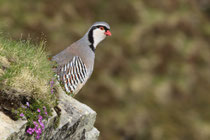 Val Piora (Schweiz)