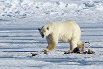 Barrow, Alaska (USA)