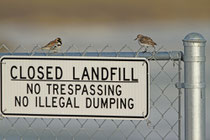 Barrow, Alaska (USA)