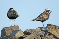 Nome, Alaska (USA)