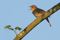 Kloten Winkel (Schweiz)