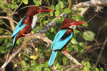 Kalametiya (Sri Lanka)