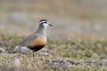 Varanger (Norwegen)