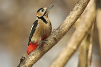 Karuizawa (Japan)