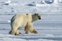 Barrow, Alaska (USA)