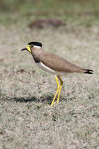 Kalametiya (Sri Lanka)