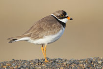 Barrow, Alaska (USA)