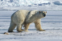 Barrow, Alaska (USA)
