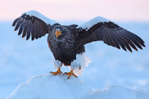 Rausu (Japan)