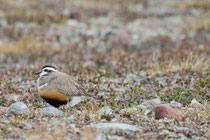 Varanger (Norwegen)