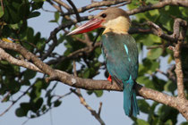Kalametiya (Sri Lanka)