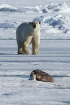 Barrow, Alaska (USA)