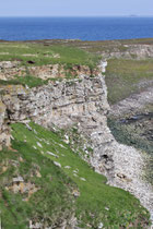 Ekkerøy (Norwegen)