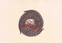 SCHLANGEN III.1 10X14,5 cm 90,-€