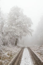 Winterstimmung im Habichtswald