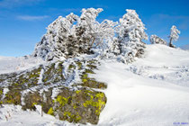 Winterstimmung auf dem Brocken