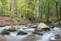 Herbstliches Ilsetal (Harz)