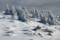 Winterstimmung auf dem Brocken