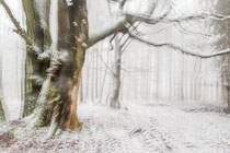 Winterstimmung im Habichtswald