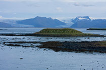 Blaue Stunde in Höfn(Ostisland)