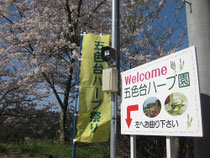 国道からの案内板・青峰