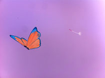 Décor peint papillons colorés pour chambre fillette