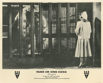 Panik um King Kong (Mighty Joe Young) Erscheinungsjahr: 1949/ Deutsche EA: 1950. Darsteller: Terry Moore, Ben Johnson, Robert Armstrong