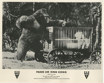 Panik um King Kong (Mighty Joe Young) Erscheinungsjahr: 1949/ Deutsche EA: 1950. Darsteller: Terry Moore, Ben Johnson, Robert Armstrong