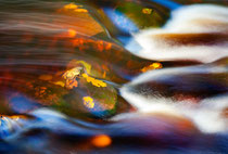 Herbstblätter im Wasser, Sandra Walkowiak