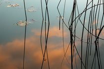 Reflexion, Sandra Walkowiak
