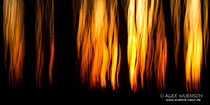 Flammenwald, Alex Wünsch