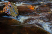 Man in the River, Sandra Walkowiak