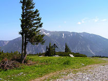 Rax - 19.Juni 2006 - Blick zum Schneeberg