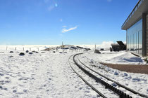 Schneeberg - 25.Oktober 2014_126 - Ob eine Salamander kommt?