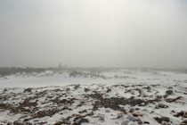 Schneeberg - 25.Oktober 2014_117 - ...der dichter wird...