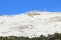 Schneeberg - 25.Oktober 2014_036 - ...wir gehen ein Stück in Richtung Waxriegel.