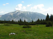 Rax - 19.Juni 2006 - Blick zum Schneeberg