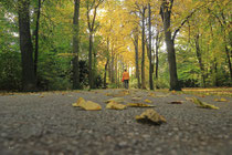 Neunkirchen - Stadtpark - 2013-10-15_21