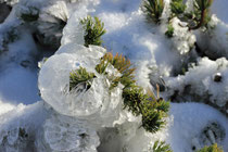 Schneeberg - 25.Oktober 2014_096 - ...reinen Schnee...